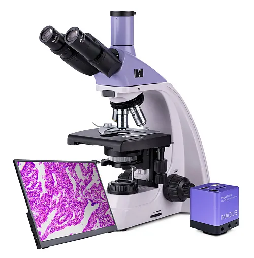 zdjęcie mikroskop biologiczny cyfrowy MAGUS Bio D250T LCD