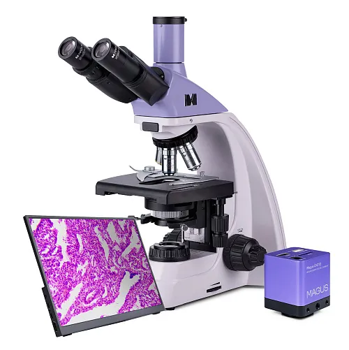 zdjęcie mikroskop biologiczny cyfrowy MAGUS Bio D250TL LCD