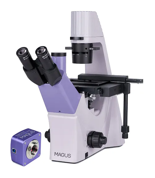 fotografia odwrócony mikroskop biologiczny сyfrowy MAGUS Bio VD300