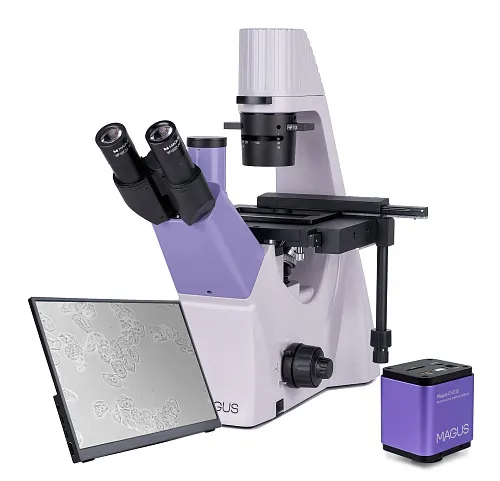 zdjęcie odwrócony mikroskop biologiczny cyfrowy MAGUS Bio VD300 LCD