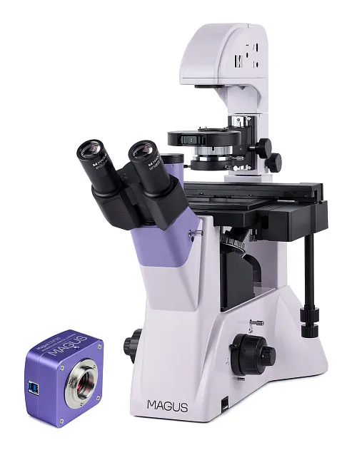 foto odwrócony mikroskop biologiczny сyfrowy MAGUS Bio VD350