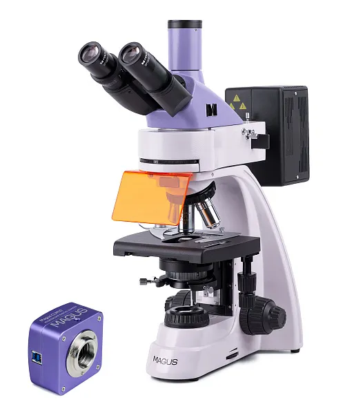 fotografia mikroskop fluorescencyjny cyfrowy MAGUS Lum D400
