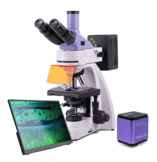 foto mikroskop fluorescencyjny cyfrowy MAGUS Lum D400 LCD