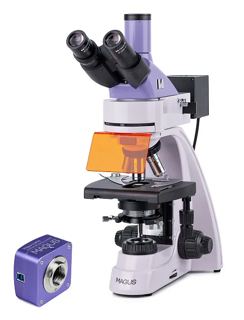 fotografia mikroskop fluorescencyjny cyfrowy MAGUS Lum D400L