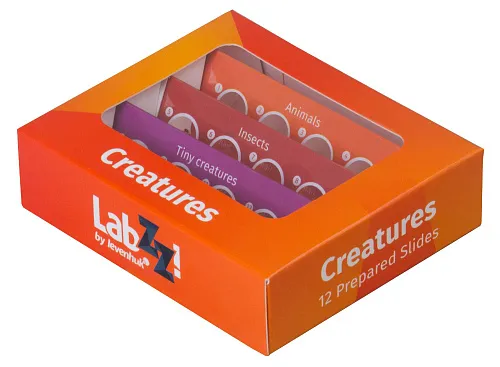 obraz zestaw preparatów zwierzęcych Levenhuk LabZZ C12,  1