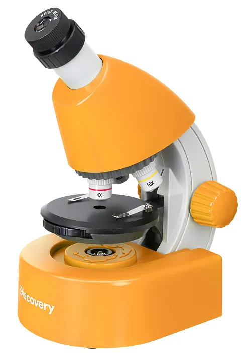 obraz mikroskop Levenhuk Discovery Micro z książką,  1