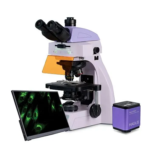 fotografia cyfrowy mikroskop fluorescencyjny MAGUS Lum D450L LCD,  1