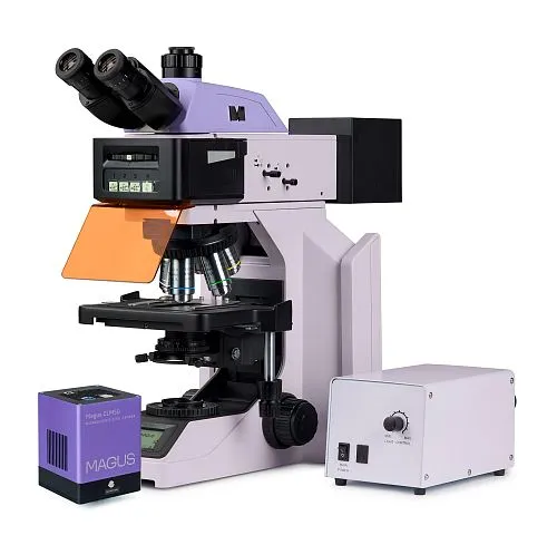 zdjęcie cyfrowy mikroskop fluorescencyjny MAGUS Lum D470L,  1