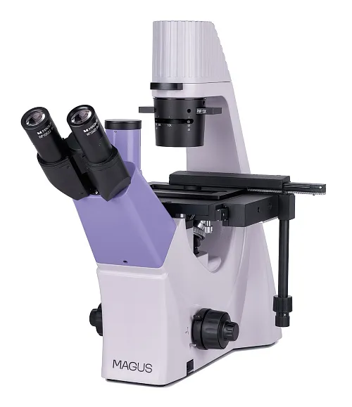obraz odwrócony mikroskop biologiczny MAGUS Bio V300,  1