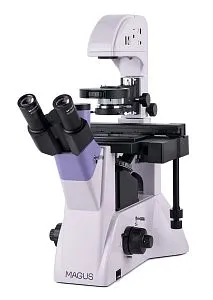obraz odwrócony mikroskop biologiczny MAGUS Bio V350
