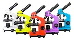 zdjęcie mikroskop Levenhuk Rainbow 2L
