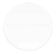 foto preparat kalibracyjny MAGUS CSS1 do mikroskopów stereoskopowych (0,1)