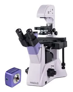 foto odwrócony mikroskop biologiczny сyfrowy MAGUS Bio VD350