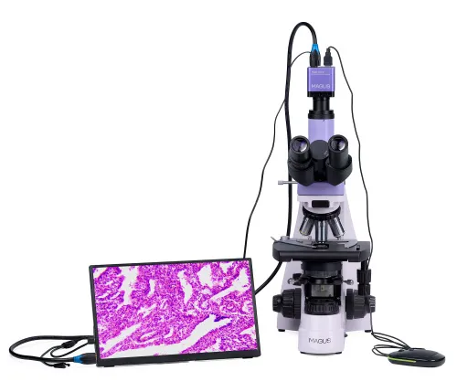 zdjęcie mikroskop biologiczny cyfrowy MAGUS Bio D250T LCD,  7