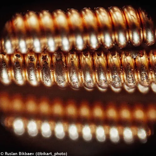 zdjęcie mikroskop Levenhuk Rainbow 50L PLUS,  22