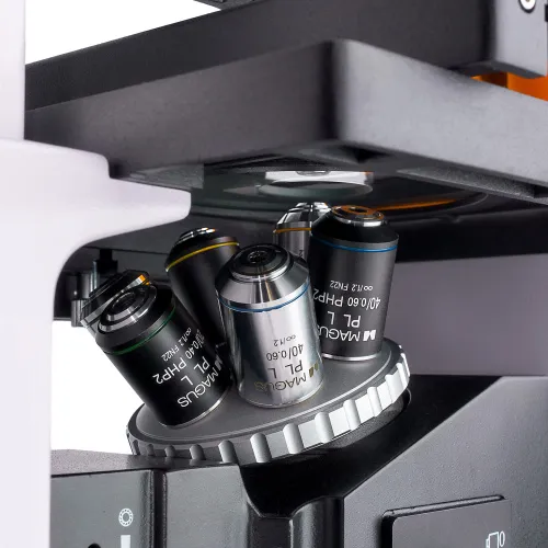 fotografia odwrócony mikroskop fluorescencyjny MAGUS Lum V500,  11