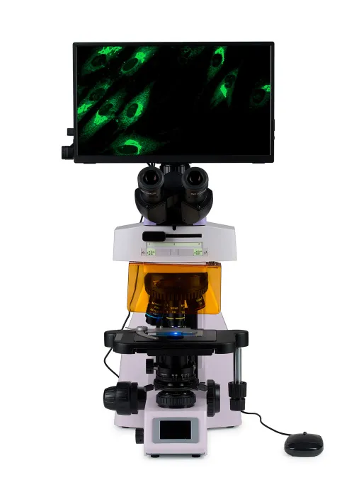 fotografia cyfrowy mikroskop fluorescencyjny MAGUS Lum D450L LCD,  8
