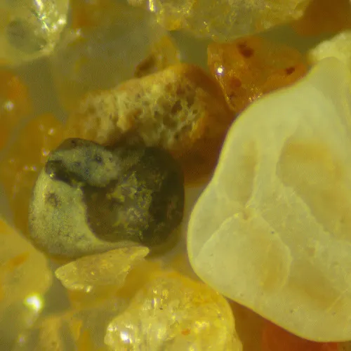 obraz mikroskop stereoskopowy MAGUS Stereo 9T,  21