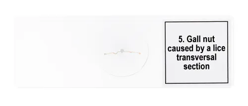 fotografia zestaw mikropreparatów Levenhuk Discovery Prof DPS 5. „Mutacje”,  8