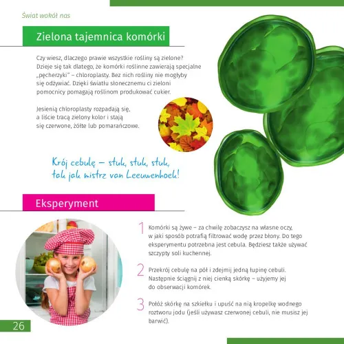 obraz mikroskop Levenhuk Discovery Micro z książką,  7