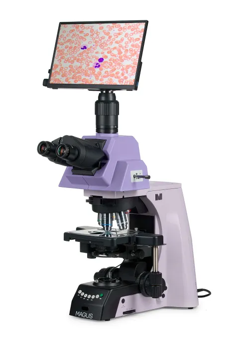 obraz cyfrowy mikroskop biologiczny MAGUS Bio D290T LCD,  2