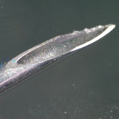 obraz mikroskop stereoskopowy MAGUS Stereo 9T,  22