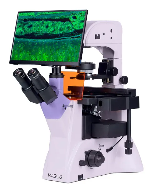 foto odwrócony mikroskop fluorescencyjny cyfrowy MAGUS Lum VD500L LCD,  3