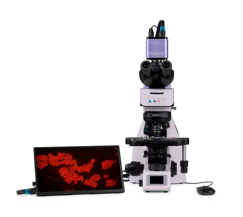 obraz cyfrowy mikroskop fluorescencyjny MAGUS Lum D460L LCD,  10