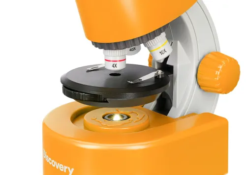 obraz mikroskop Levenhuk Discovery Micro z książką,  13