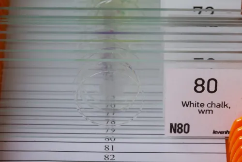 fotografia zestaw preparatów Levenhuk N80 NG „Zobacz wszystko”,  3