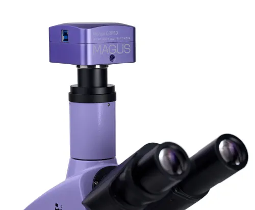 obraz mikroskop biologiczny сyfrowy MAGUS Bio D250T,  26