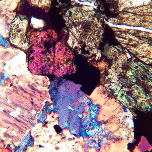 fotografia mikroskop polaryzacyjny cyfrowy MAGUS Pol D850,  24