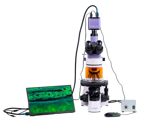 foto mikroskop fluorescencyjny cyfrowy MAGUS Lum D400L LCD,  6