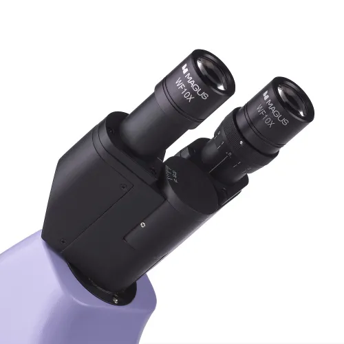 fotografia mikroskop biologiczny MAGUS Bio 230BL,  11