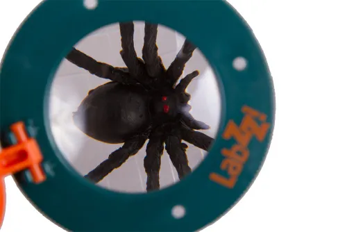 fotografia pojemnik Levenhuk LabZZ C1 do obserwacji owadów,  7