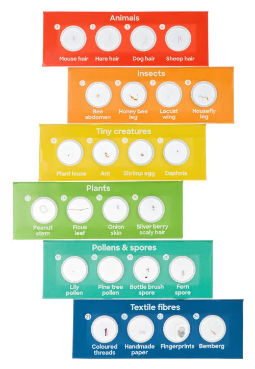 obraz zestaw 24 preparatów Levenhuk Discovery Flora i Fauna,  3