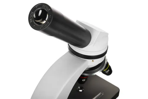 zdjęcie mikroskop Levenhuk Discovery Nano,  10