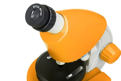 obraz mikroskop Levenhuk Discovery Micro z książką,  11