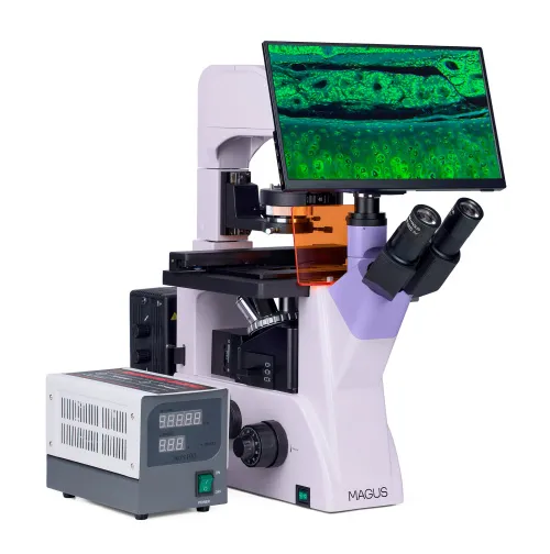 fotografia odwrócony mikroskop fluorescencyjny cyfrowy MAGUS Lum VD500 LCD,  4