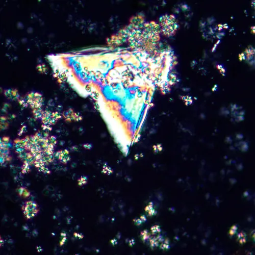 foto mikroskop polaryzacyjny MAGUS Pol 850,  21