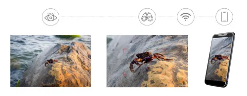 obraz cyfrowy fotomonokular Levenhuk Kelvin Snap ED 8x42,  6