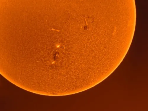 obraz teleskop słoneczny Coronado SolarMax III 70 mm z systemem RichView i BF10,  6