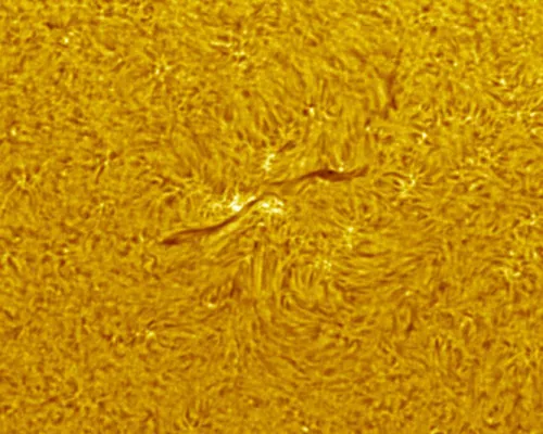 foto teleskop słoneczny Coronado SolarMax III 90 mm Double Stack z systemem RichView i BF15,  12