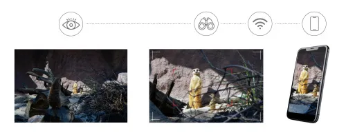 obraz cyfrowy fotomonokular Levenhuk Kelvin Snap ED 8x42,  5