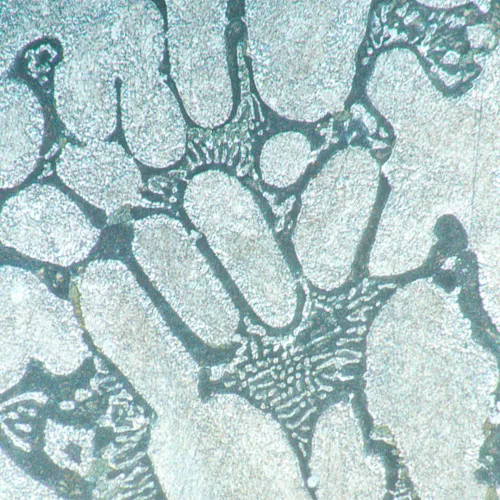 fotografia odwrócony mikroskop metalurgiczny MAGUS Metal V700,  16