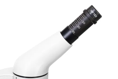 zdjęcie mikroskop cyfrowy Levenhuk Rainbow D50L PLUS 2M, Moonstone\Kamień księżycowy,  9