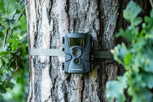 foto kamera do obserwacji dzikich zwierząt Bresser 60° 5–20 MP,  10