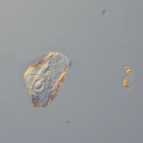 fotografia zestaw przystawek MAGUS DIC290,  14
