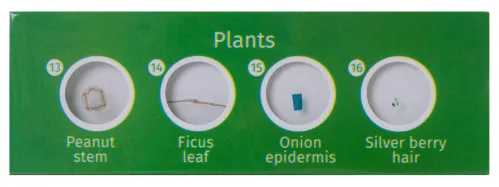 foto zestaw preparatów zwierzęcych i roślinnych Levenhuk LabZZ CP24,  5