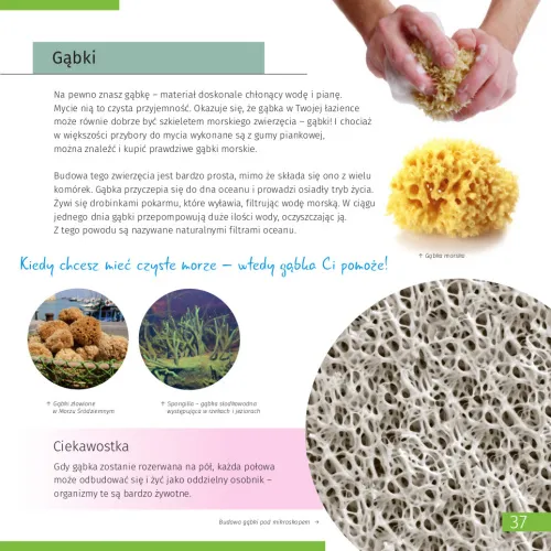 obraz niewidoczny świat. Skarbnica wiedzy,  7